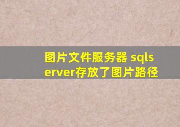 图片文件服务器 sqlserver存放了图片路径